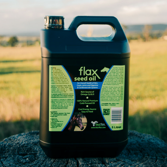 Flax Seed Oil Bottle (5 Litre)