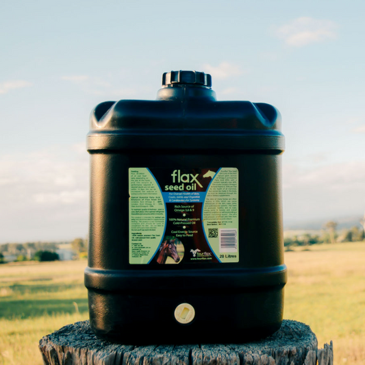Flaxseed Oil Drum (20 Litre)